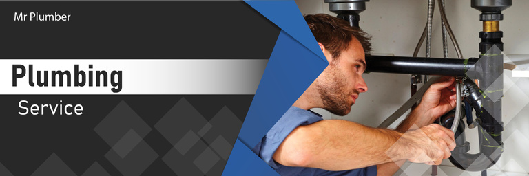 plumbing services near me